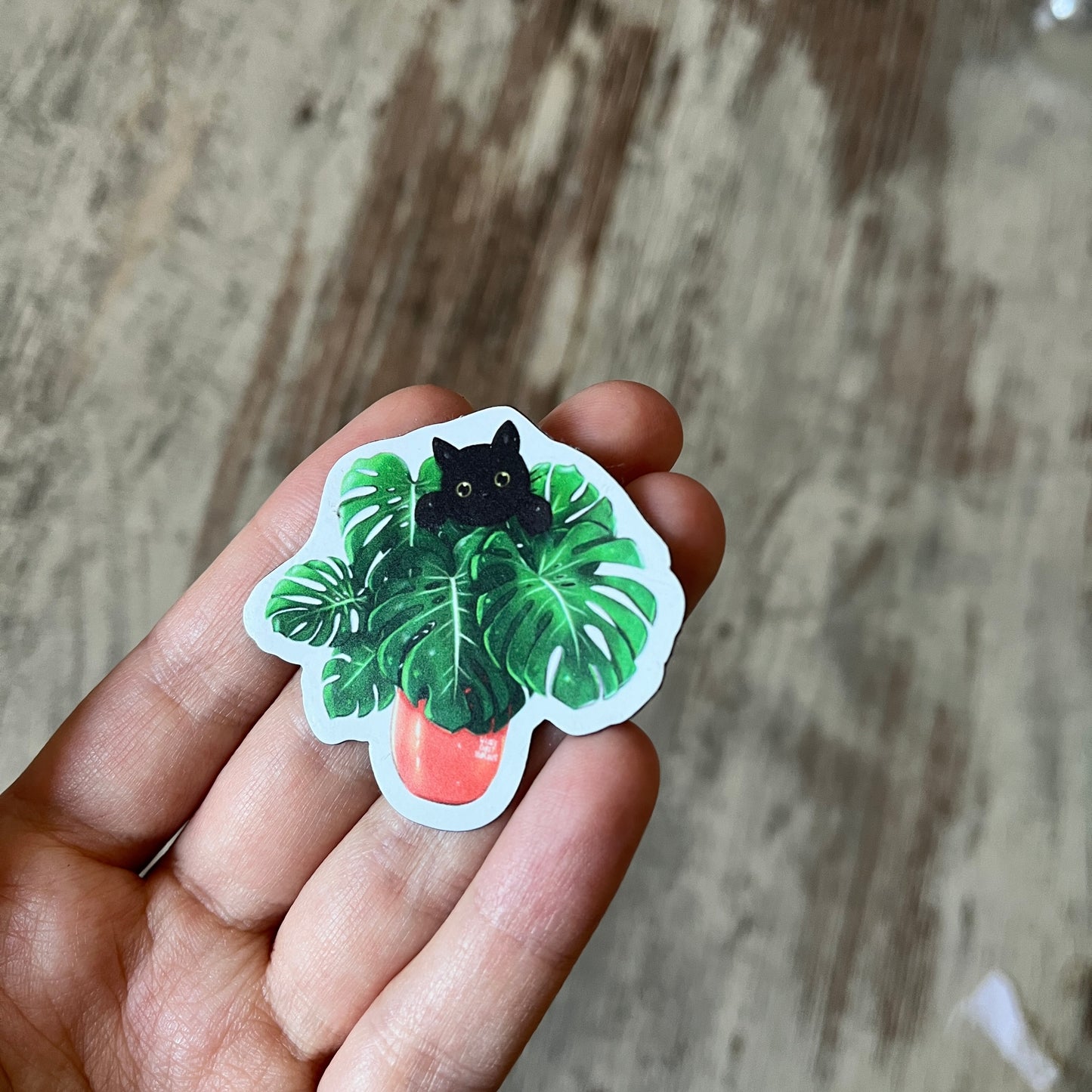 B-Ware: Monstera Katze Magnet