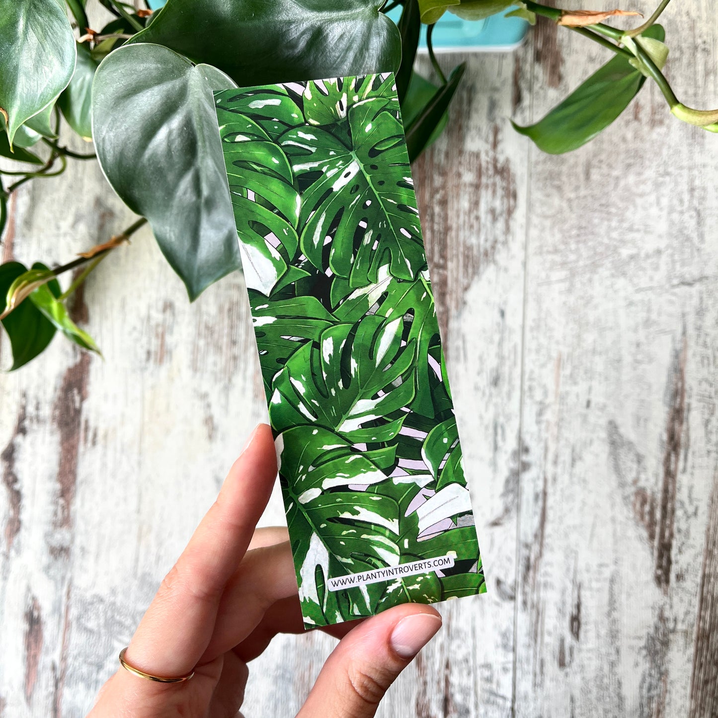 Lesezeichen Monstera variegata Blätter illustriert