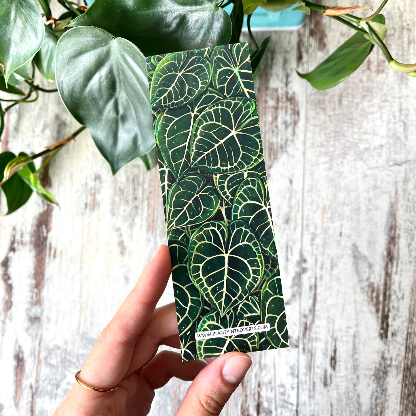 Lesezeichen Anthurium Clarinervium Blätter