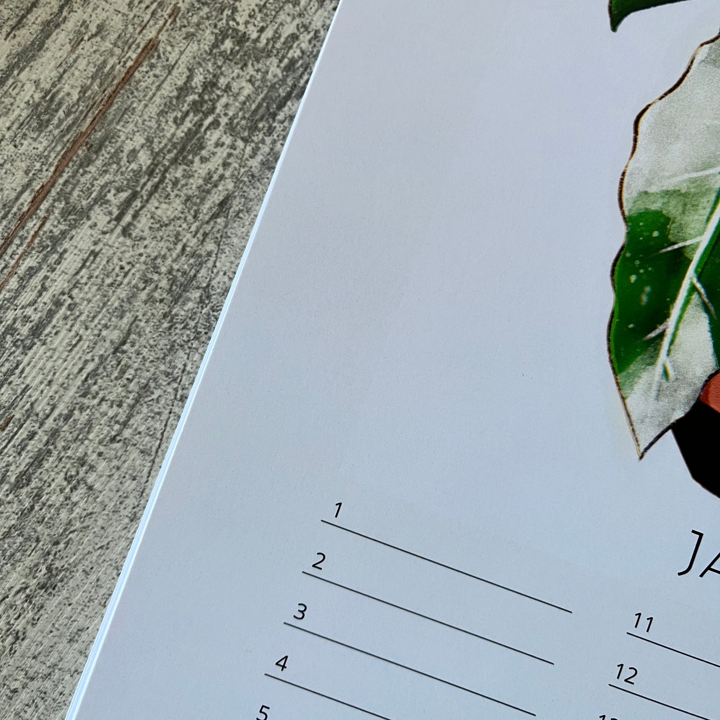 B-Ware: Immerwährender Kalender mit Grünpflanzen in A4 ohne Jahr