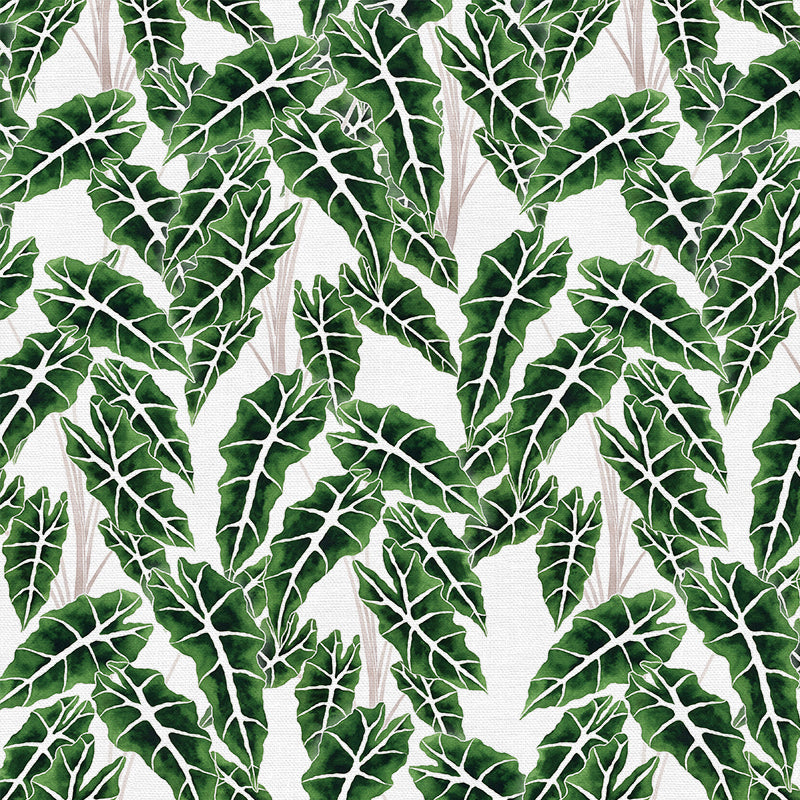 Modern Botanicals by Living Pattern - Alocasia Blätter Stoff