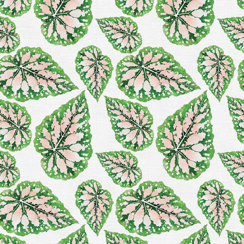 Modern Botanicals by Living Pattern - Jungle Peach Begonia Blätter Stoff