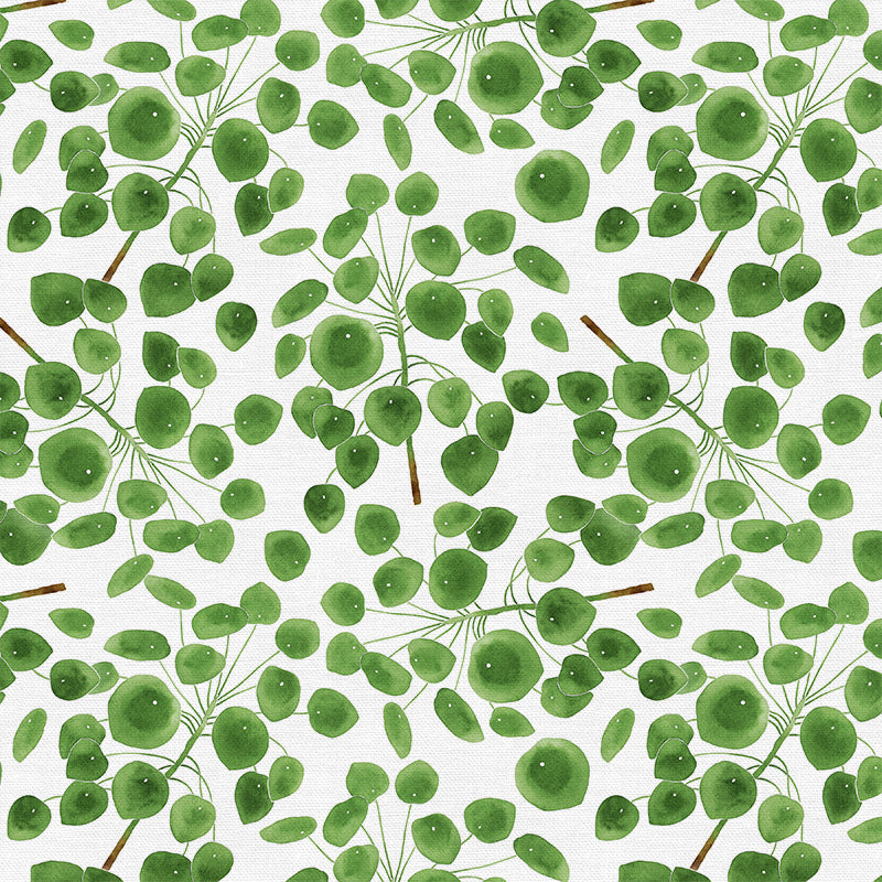 Modern Botanicals by Living Pattern - Pilea Blätter Stoff