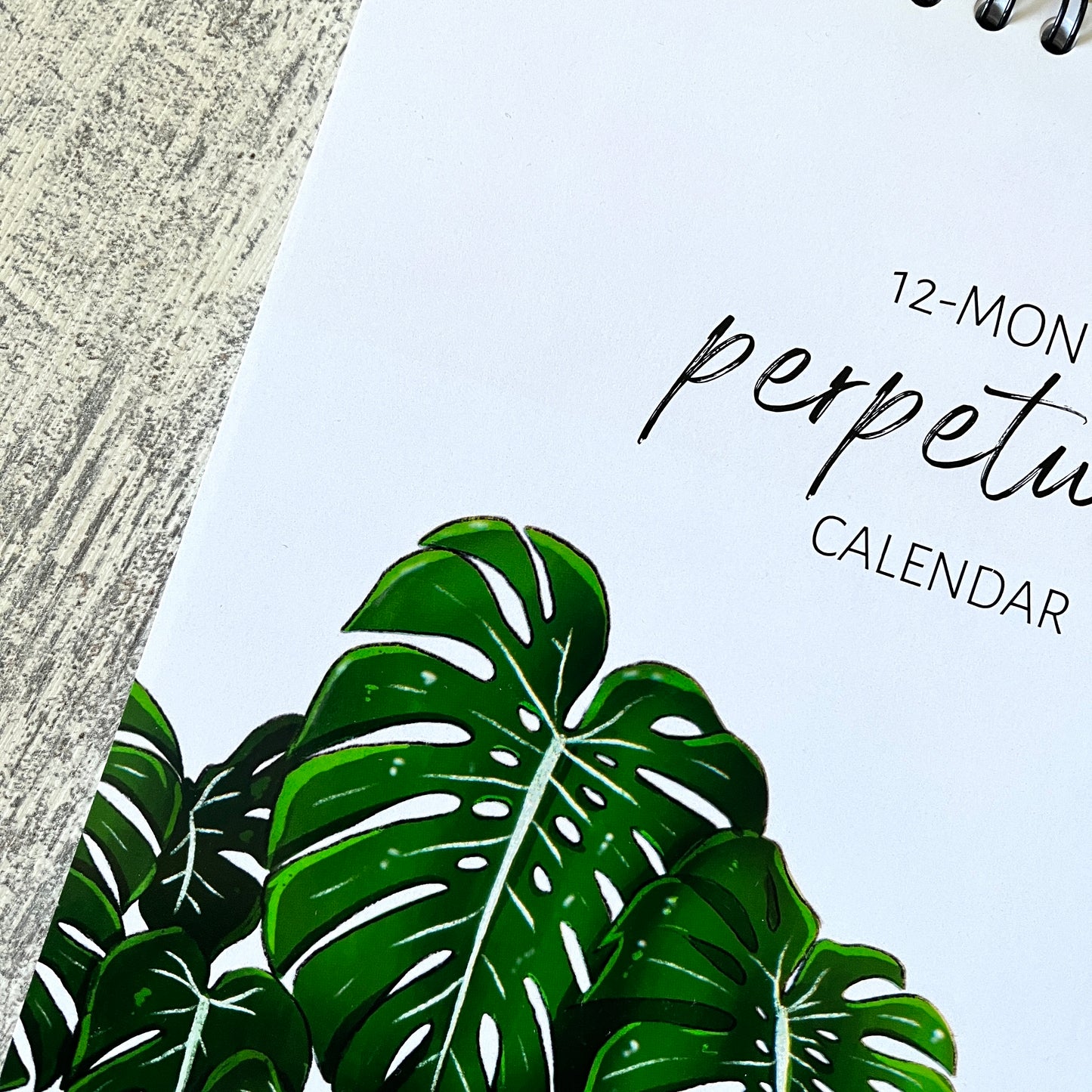 B-Ware: Immerwährender Kalender mit Grünpflanzen in A4 ohne Jahr
