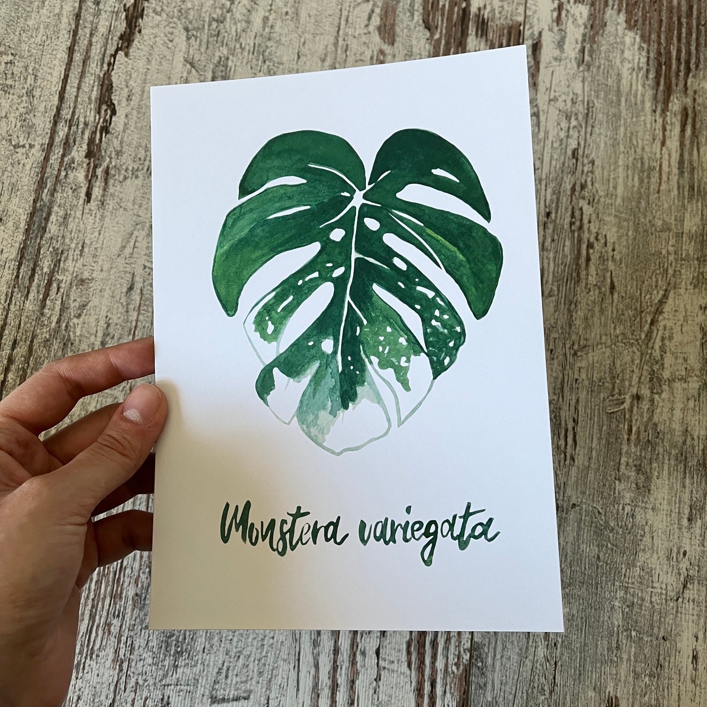 Restposten: A5 Postkarte