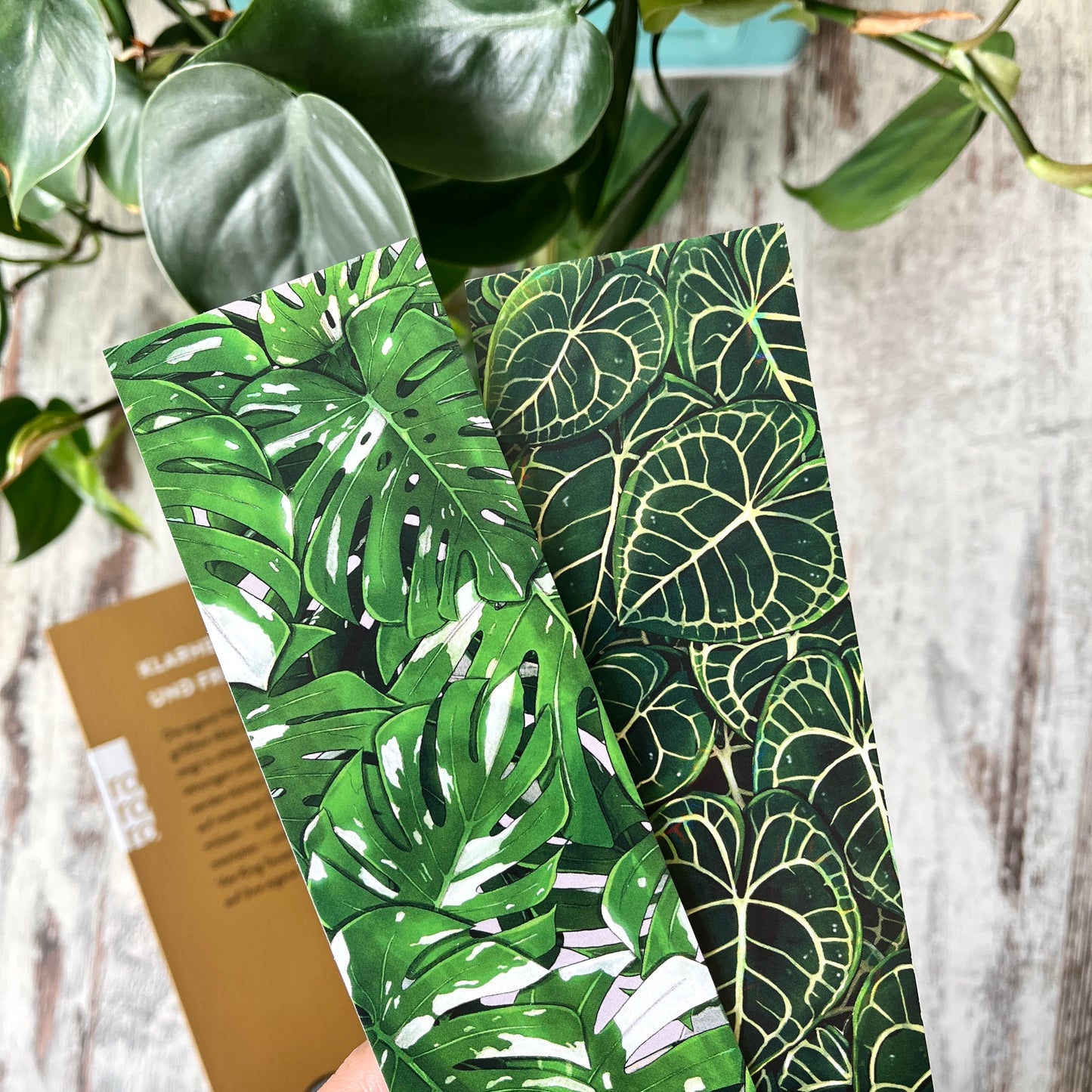 Lesezeichen Monstera variegata Blätter illustriert