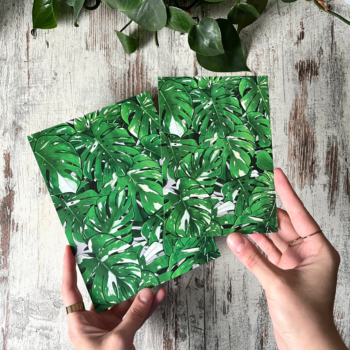 Jahresübersicht Karte ohne Datum - Monstera variegata