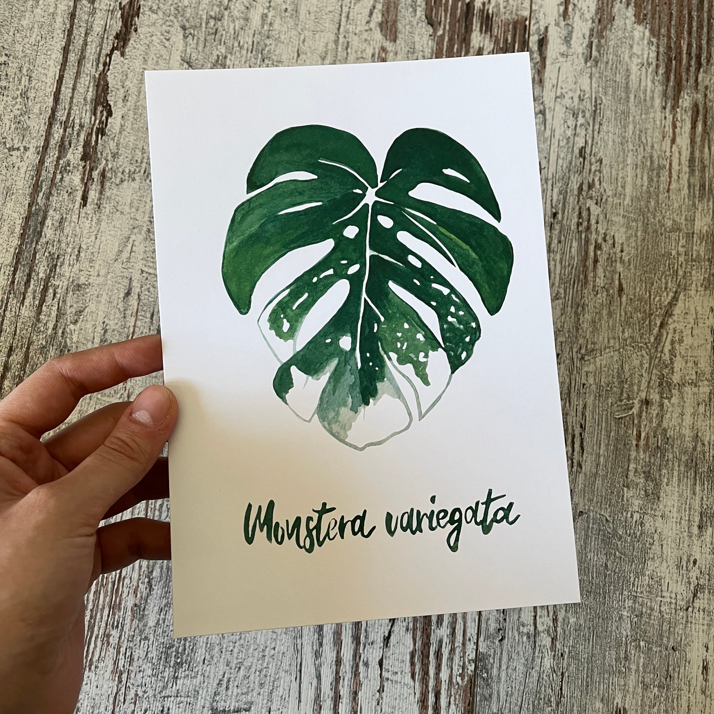 Restposten: A5 Postkarte