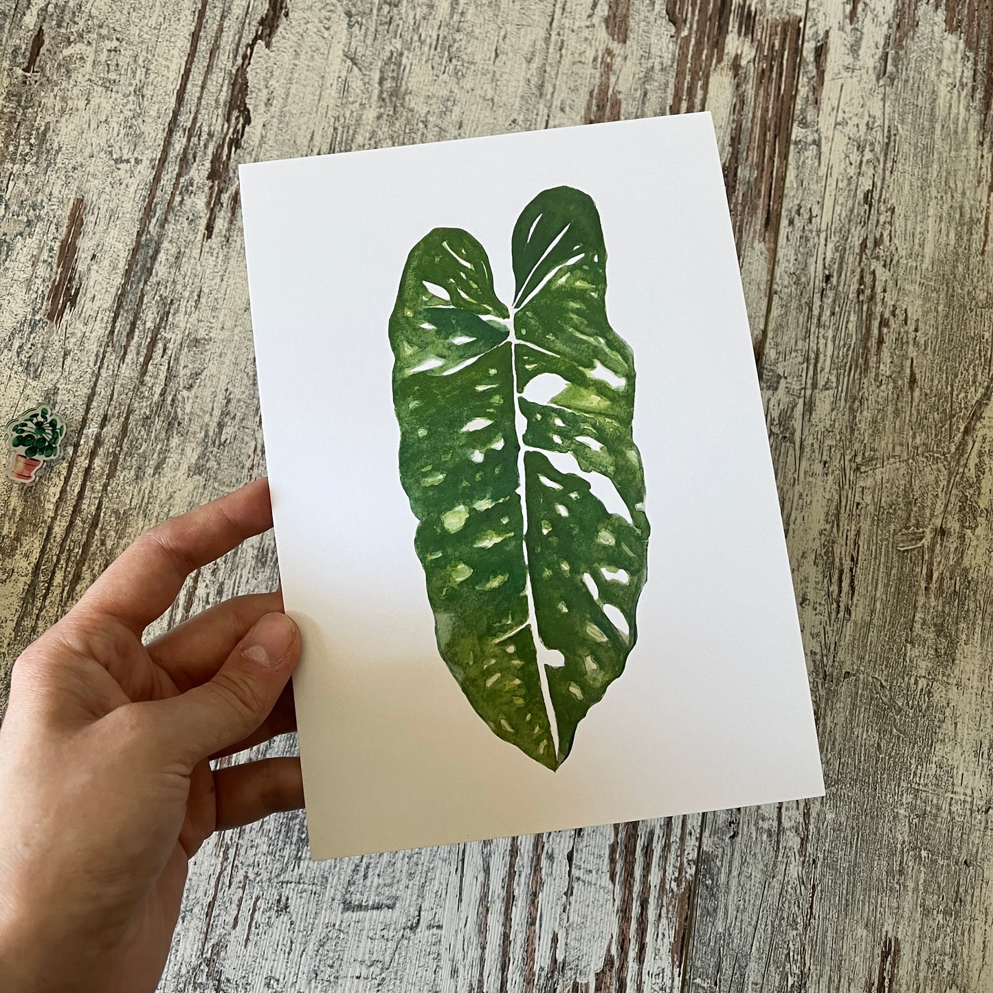 Restposten: A5 Postkarte