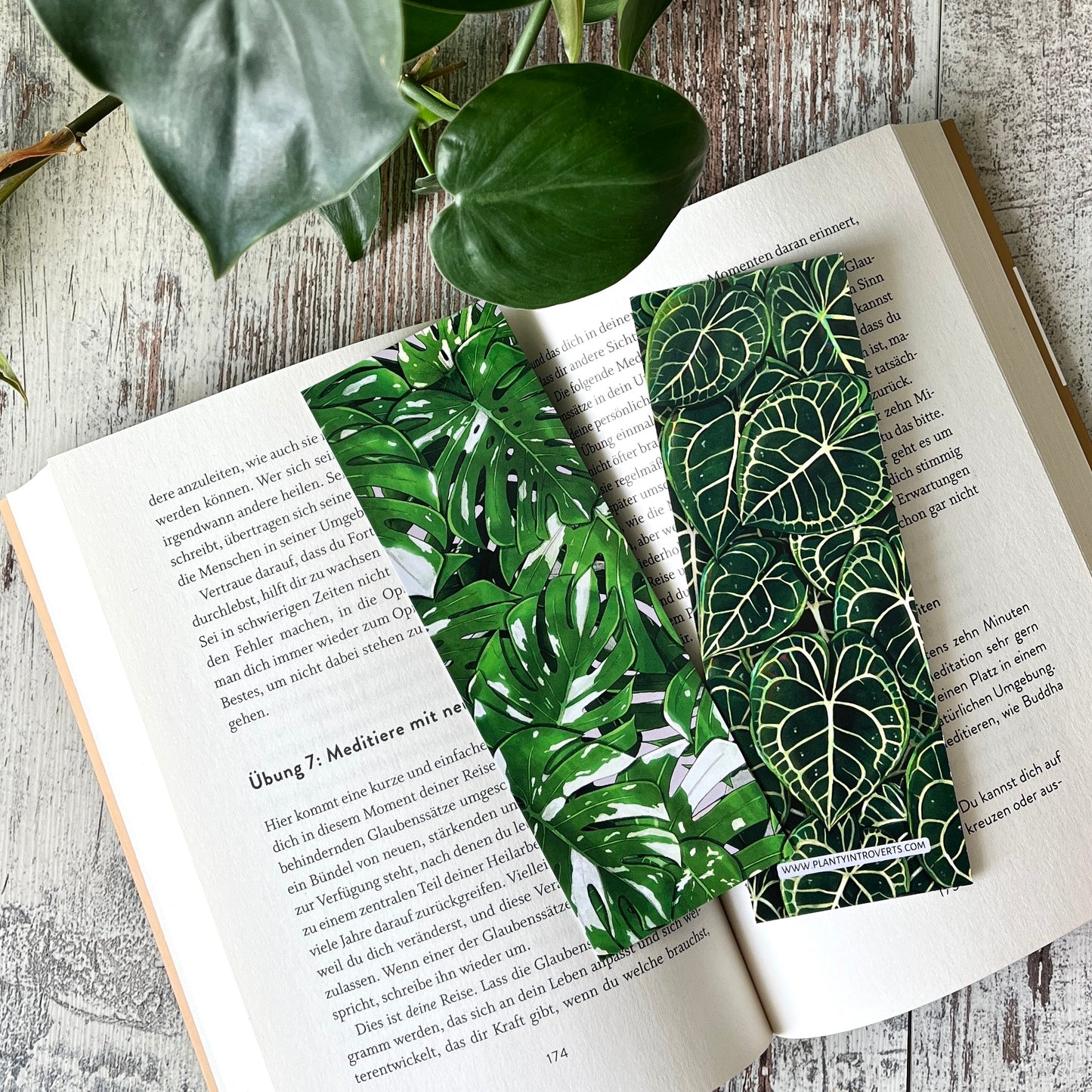 Lesezeichen Monstera variegata Blätter illustriert