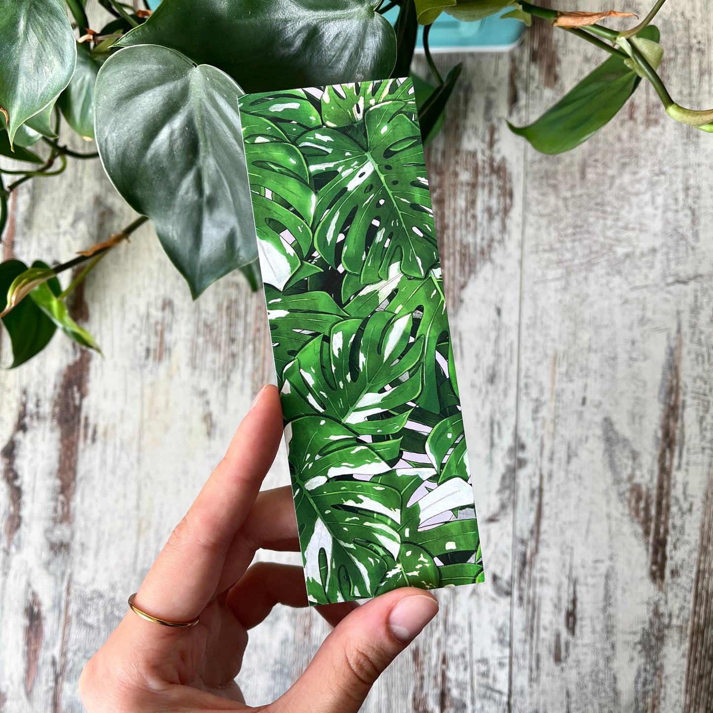 Lesezeichen Monstera variegata Blätter illustriert
