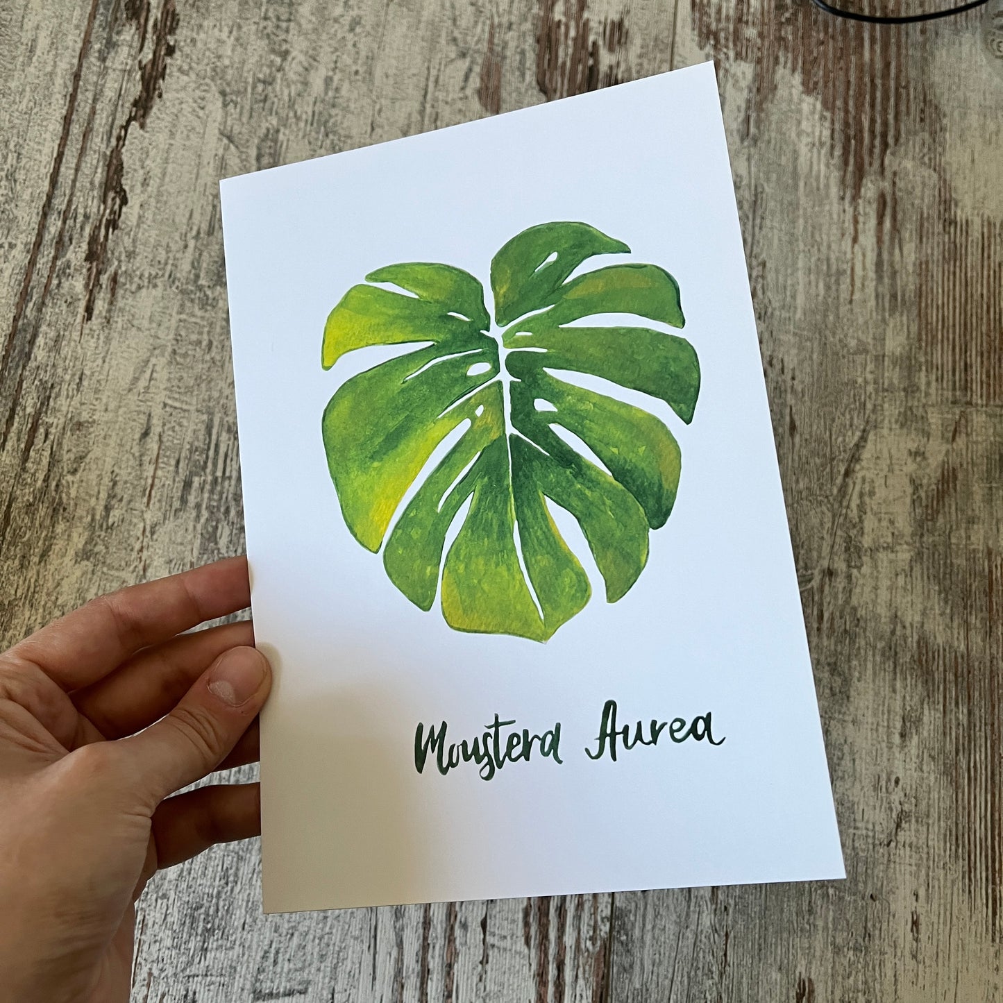 Restposten: a5 Postkarte Monstera