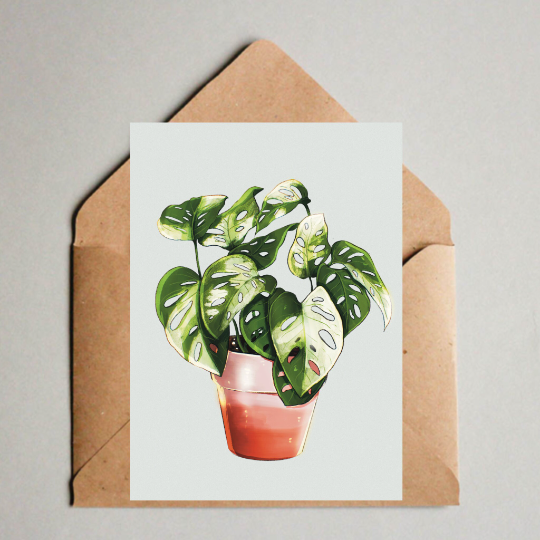 Postkarte / A6 Print - Monstera adansonii variegata Illustration