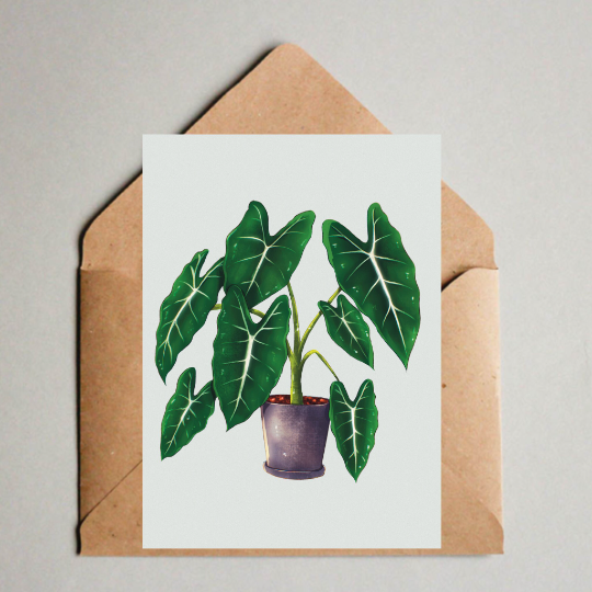 Postkarte / A6 Print - Alocasia frydek Illustration