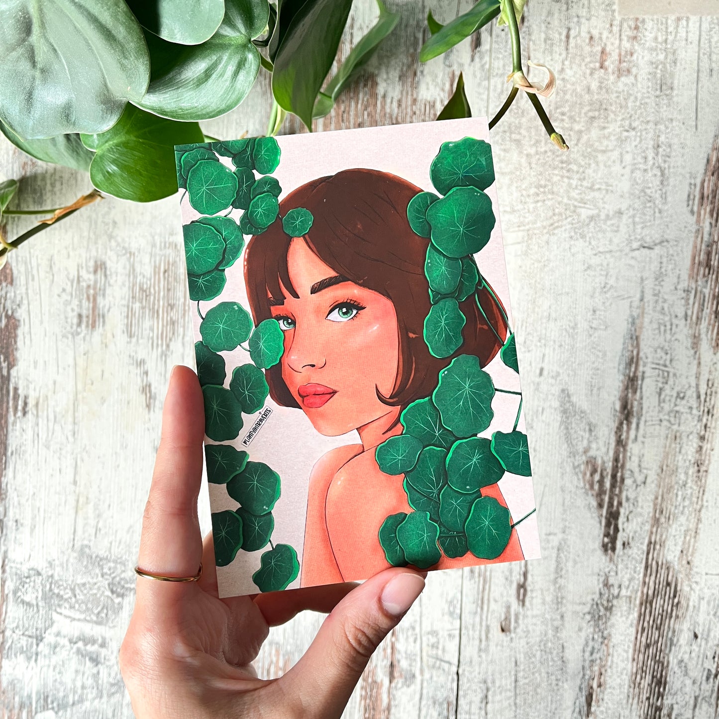 Postkarte / A6 Print - Stephania Erecta Illustration