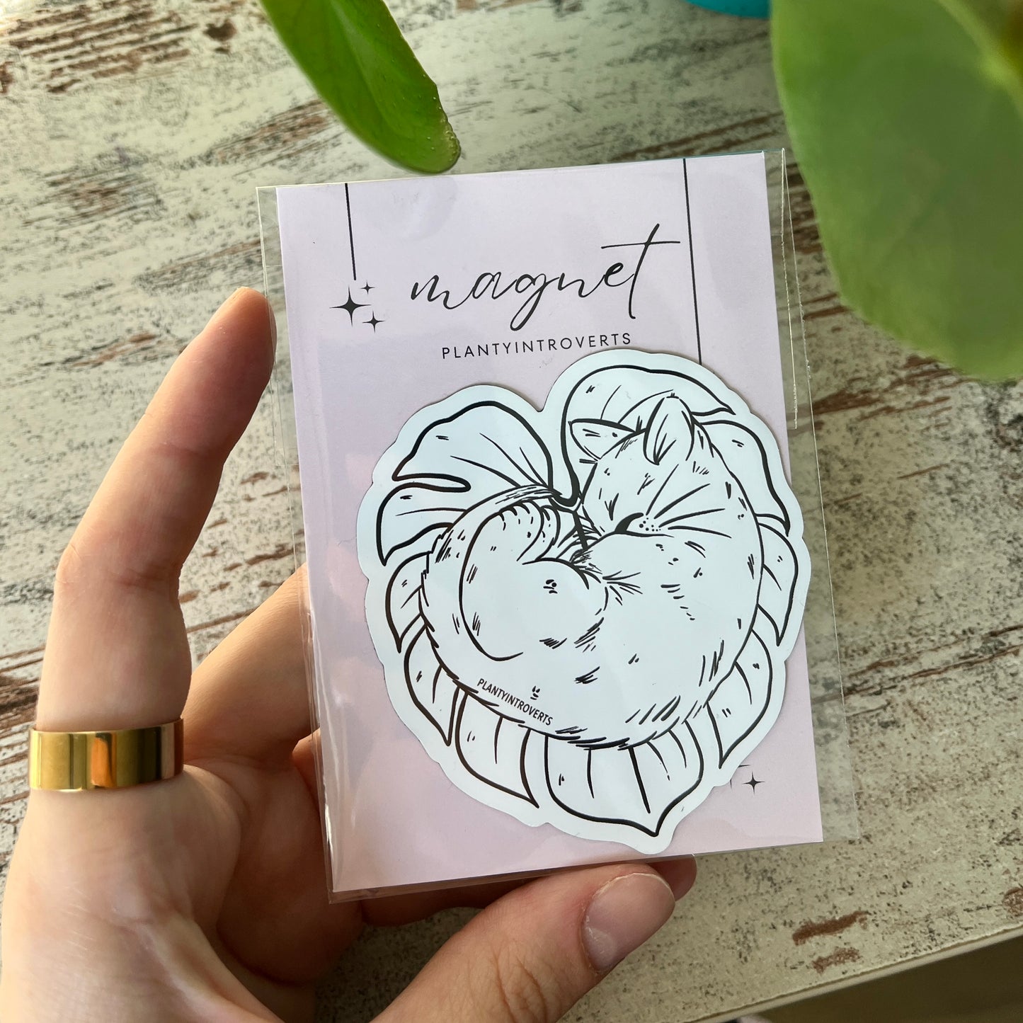 Kühlschrankmagnet - Schlafende Katze Monstera Blatt