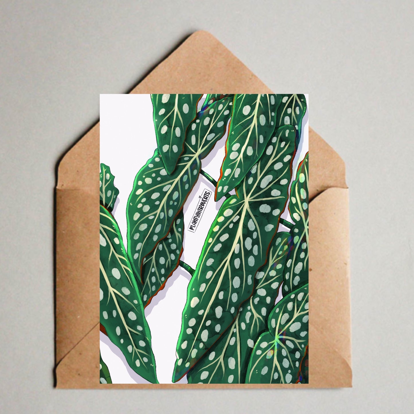 Postkarte / A6 Print - Begonia Maculata