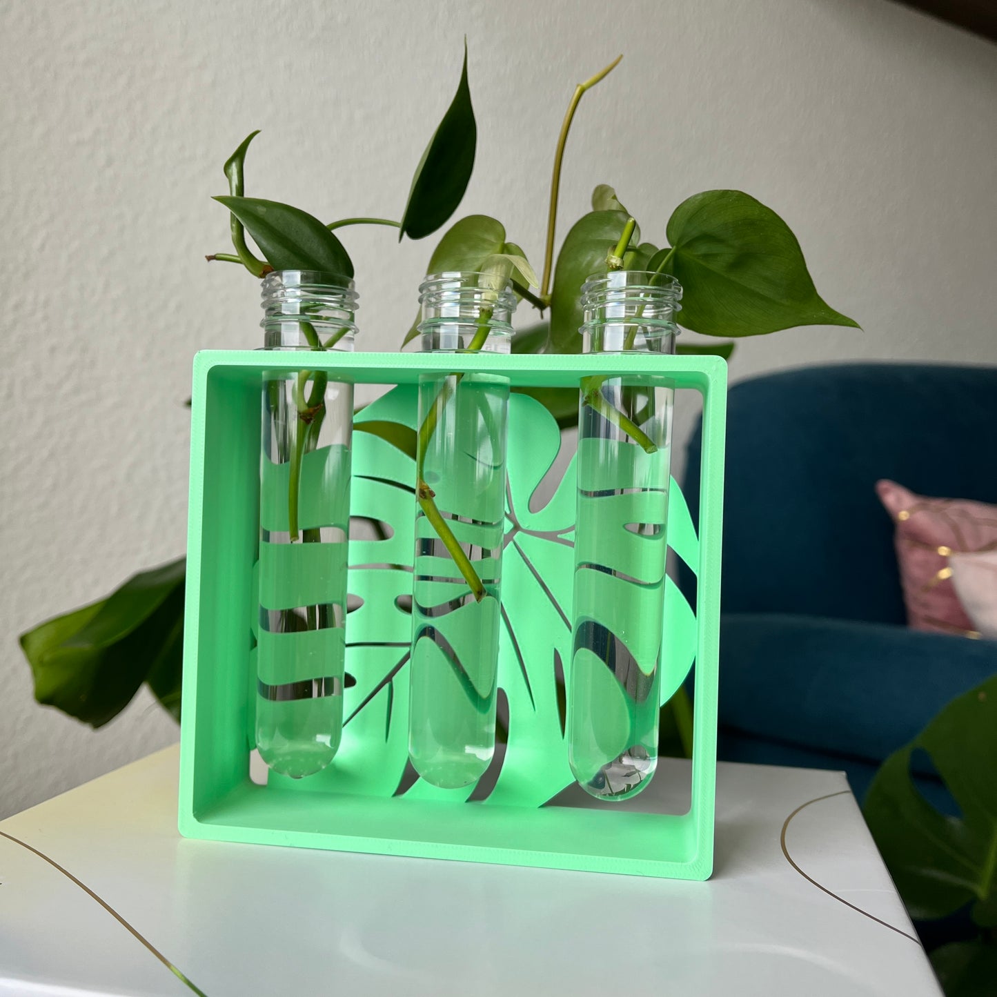 Monstera 3D gedruckte Anzuchtstation