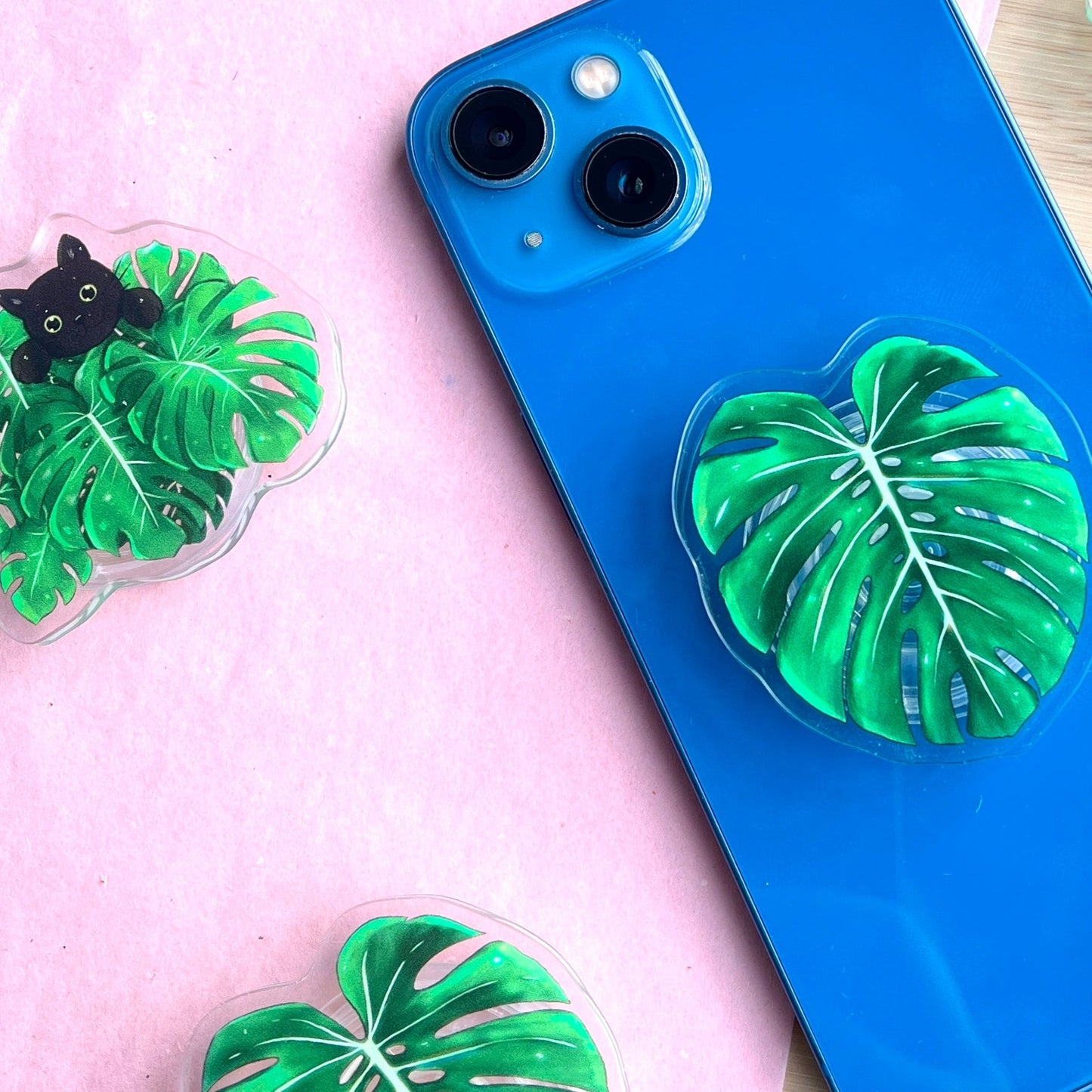Handygriff aus Acryl - Katze in Monstera Blättern
