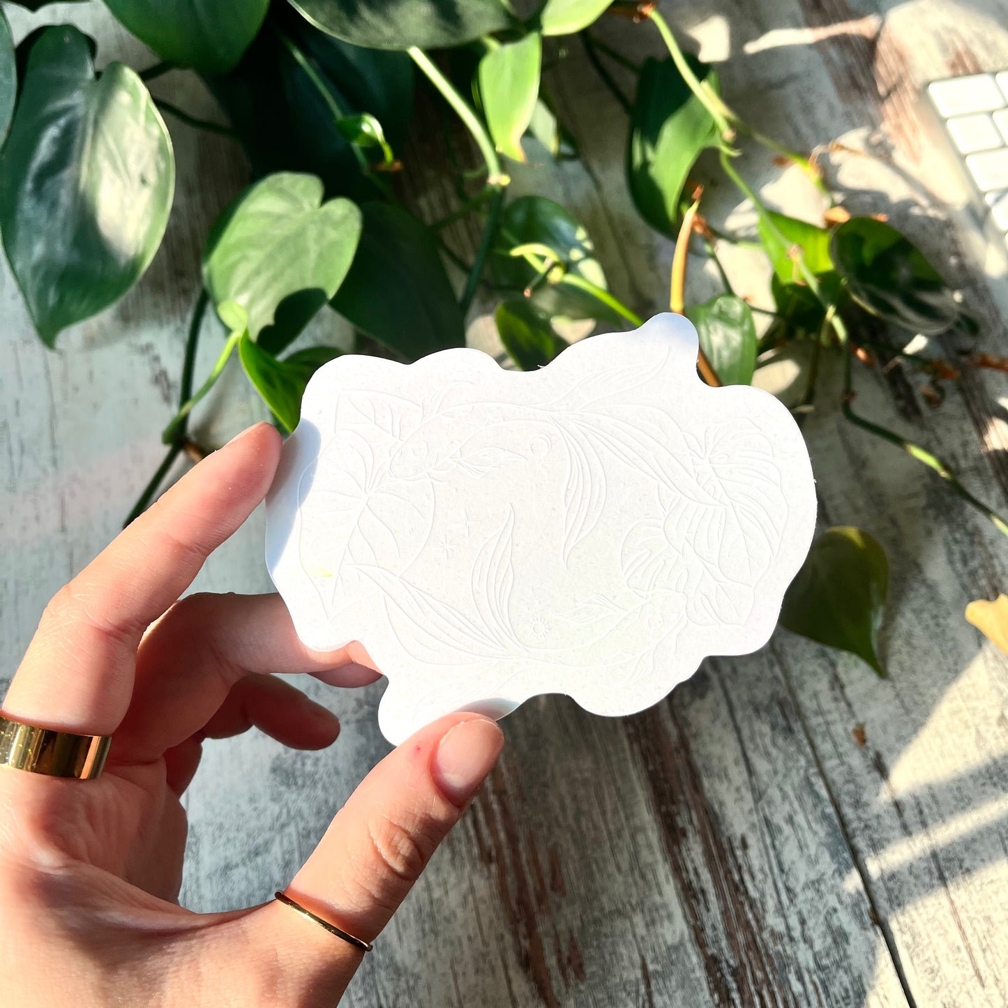 Sun Catcher Sticker - Koi Karpfen mit Zimmerpflanzen