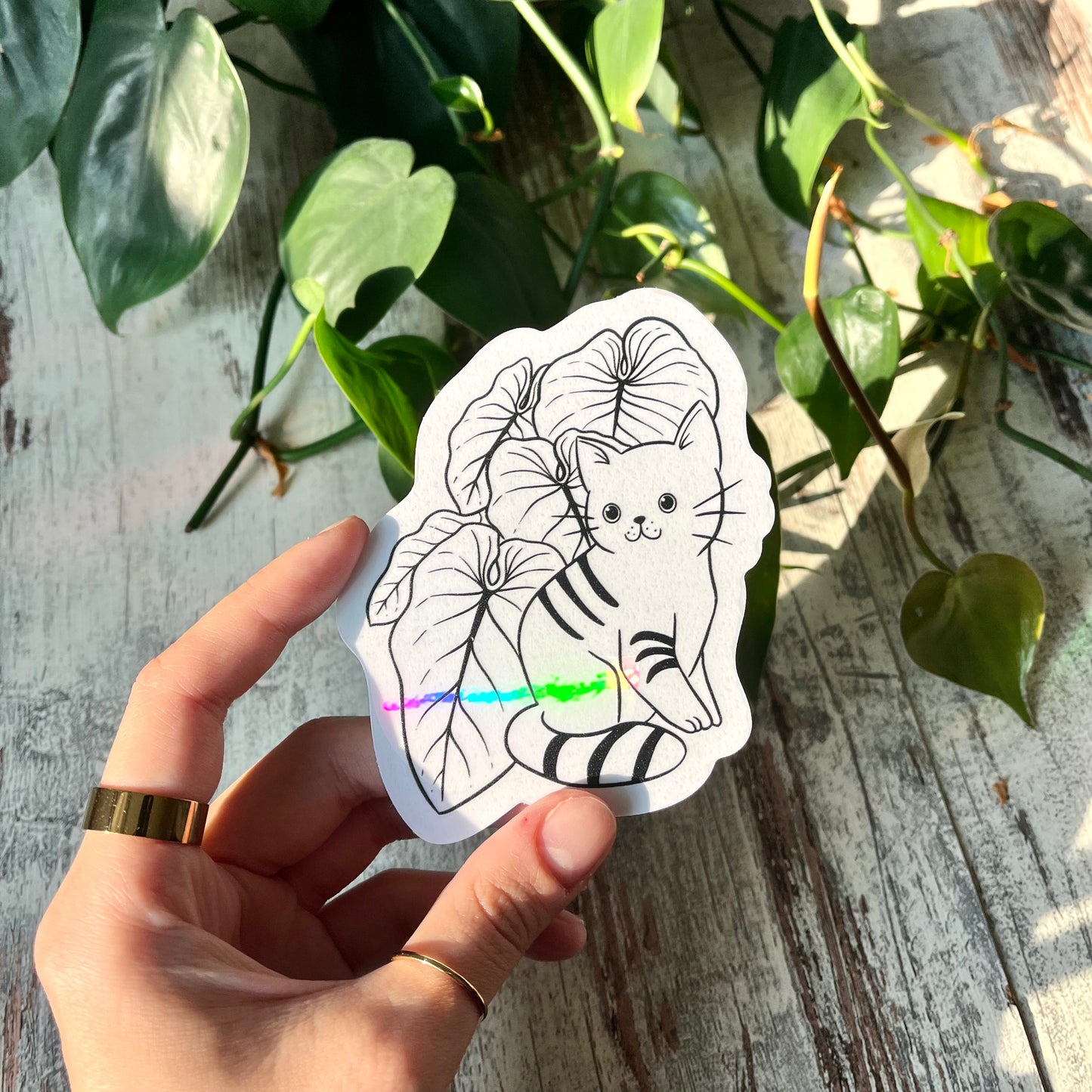 Sun Catcher Sticker - Katze mit Philodendron Blättern