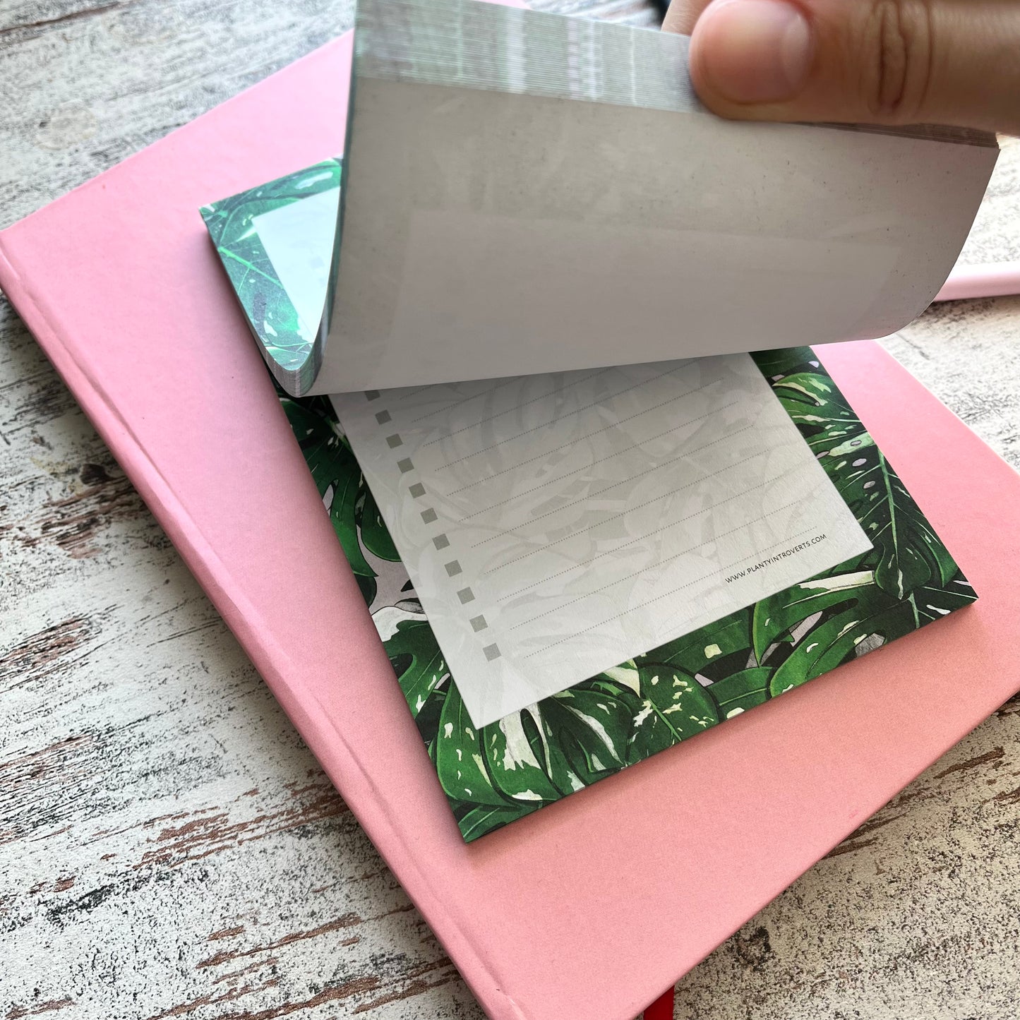 To-Do-Liste Notizblock mit Monstera Illustration