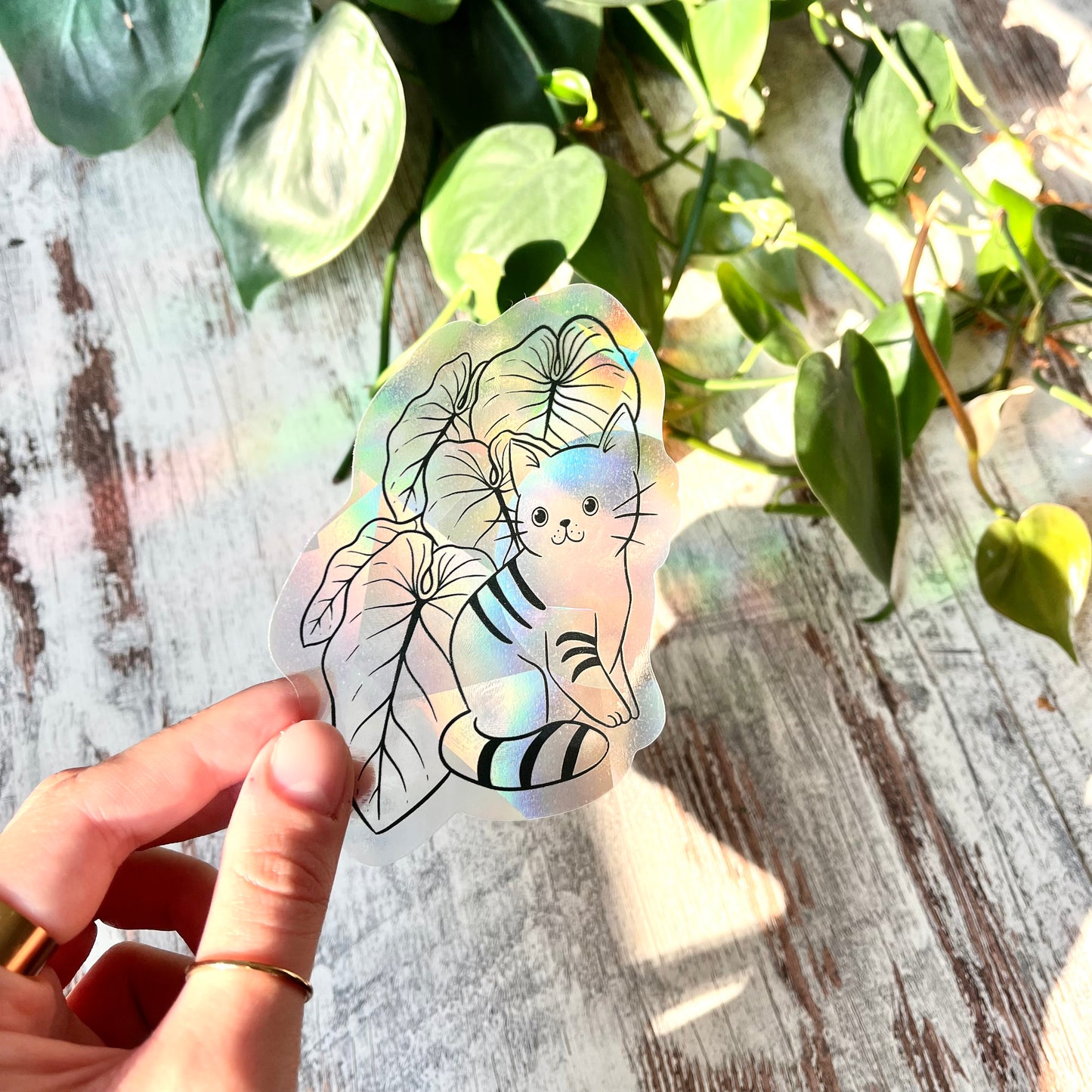 Sun Catcher Sticker - Katze mit Philodendron Blättern