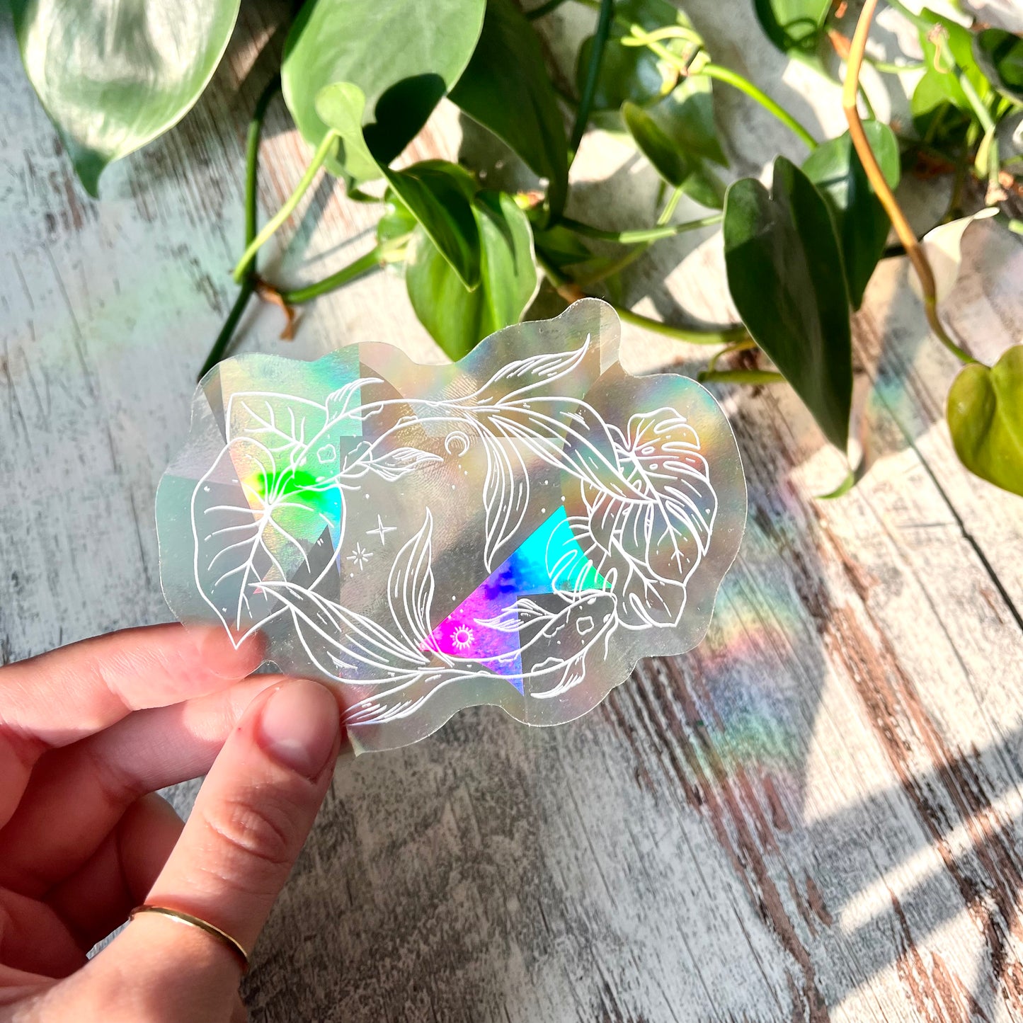 Sun Catcher Sticker - Koi Karpfen mit Zimmerpflanzen