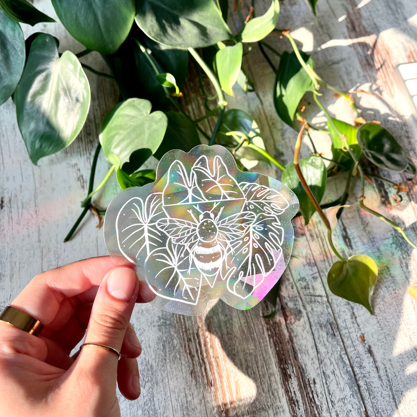 Sun Catcher Sticker - Biene mit Alocasia, Philodendron Gloriosum, Monstera