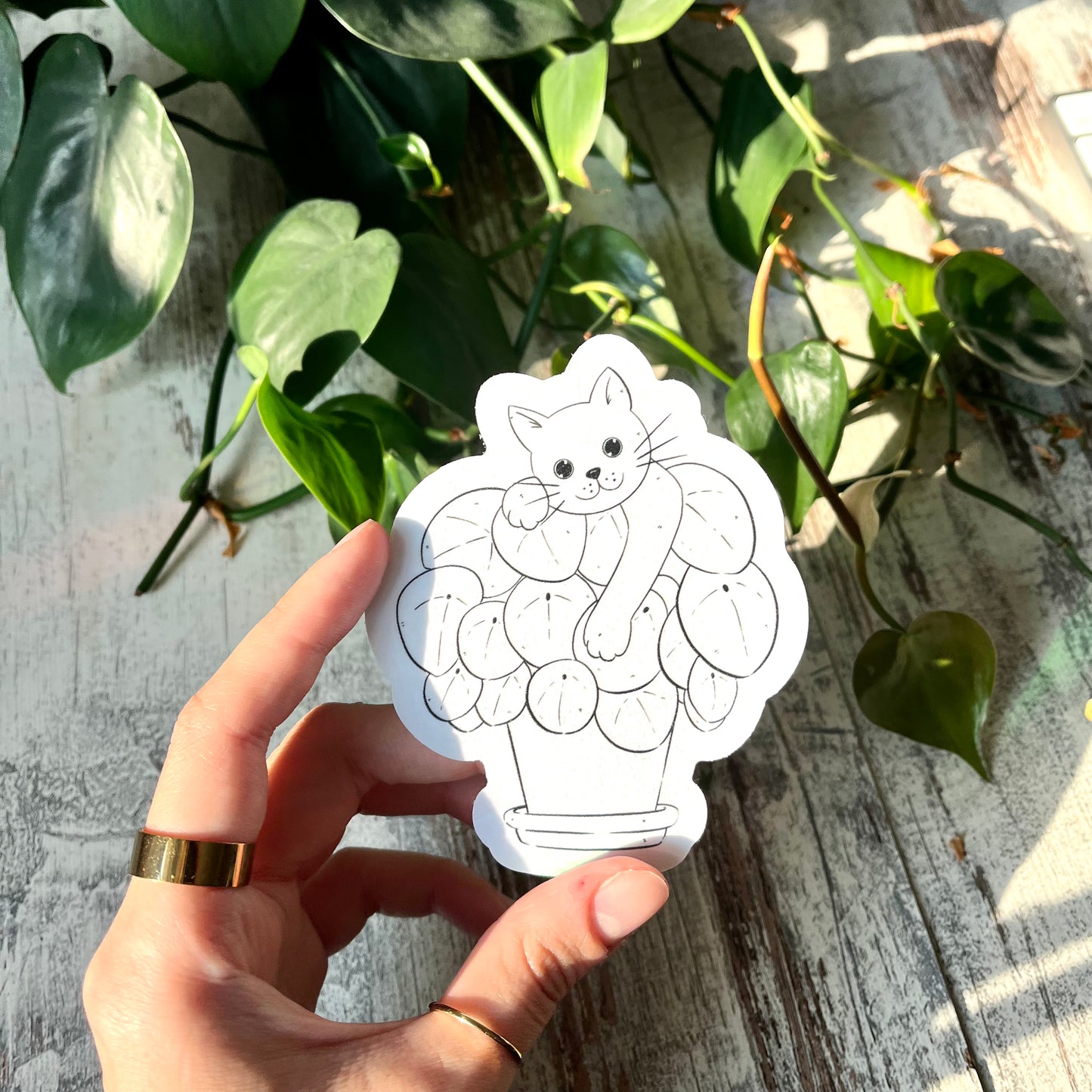 Sun Catcher Sticker - Katze mit Pilea