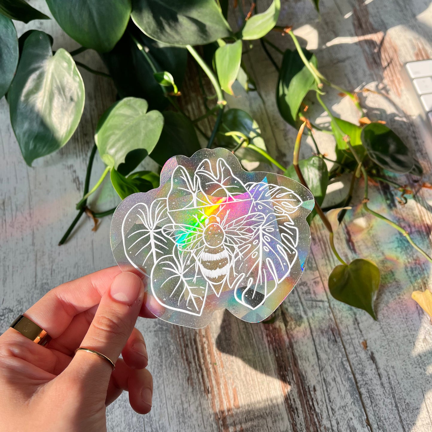 Sun Catcher Sticker - Biene mit Alocasia, Philodendron Gloriosum, Monstera