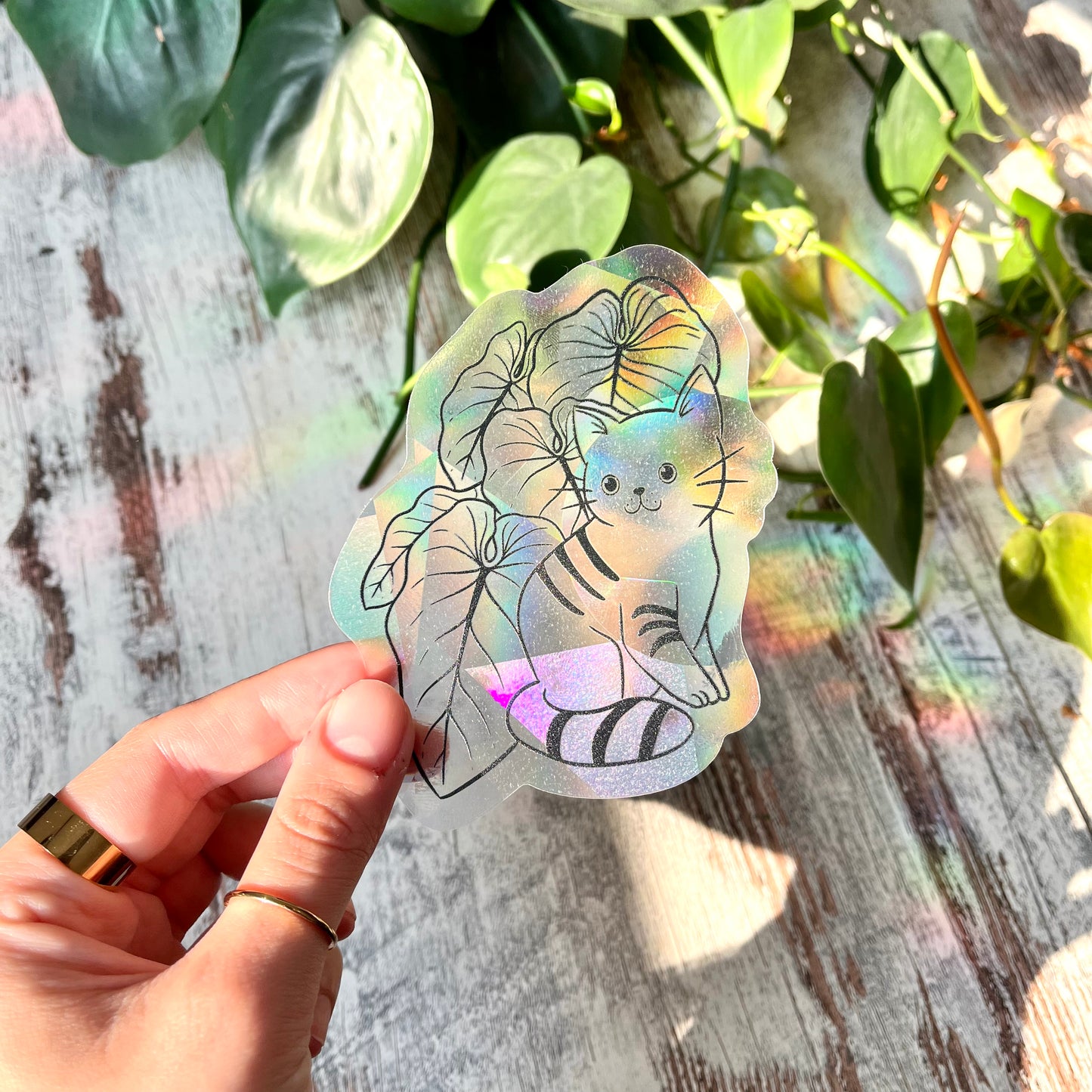 Sun Catcher Sticker - Katze mit Philodendron Blättern