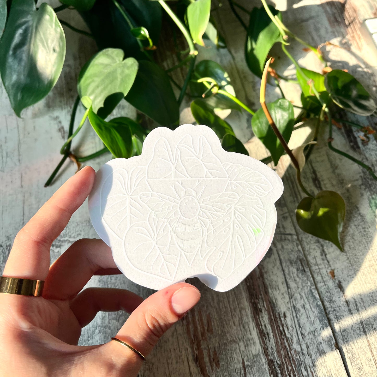 Sun Catcher Sticker - Biene mit Alocasia, Philodendron Gloriosum, Monstera