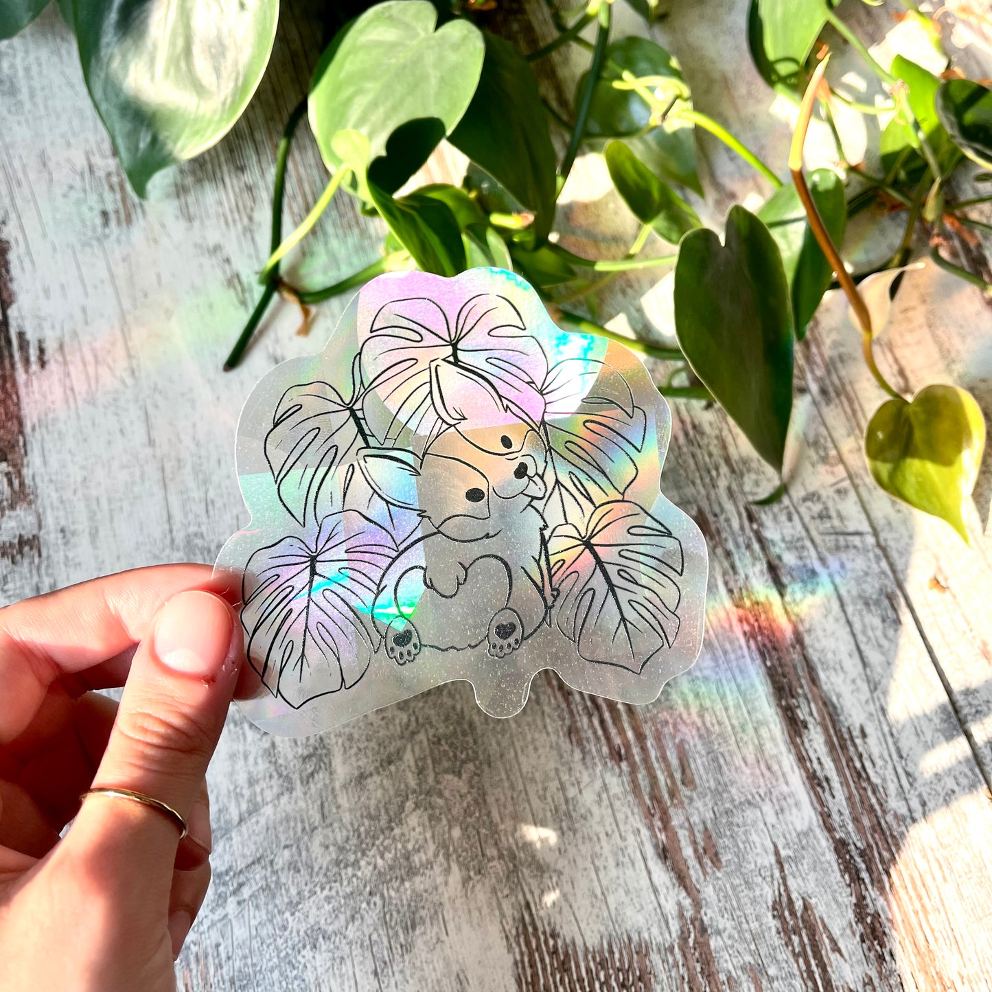 Sun Catcher Sticker - Corgi Hund mit Monstera deliciosa Blättern