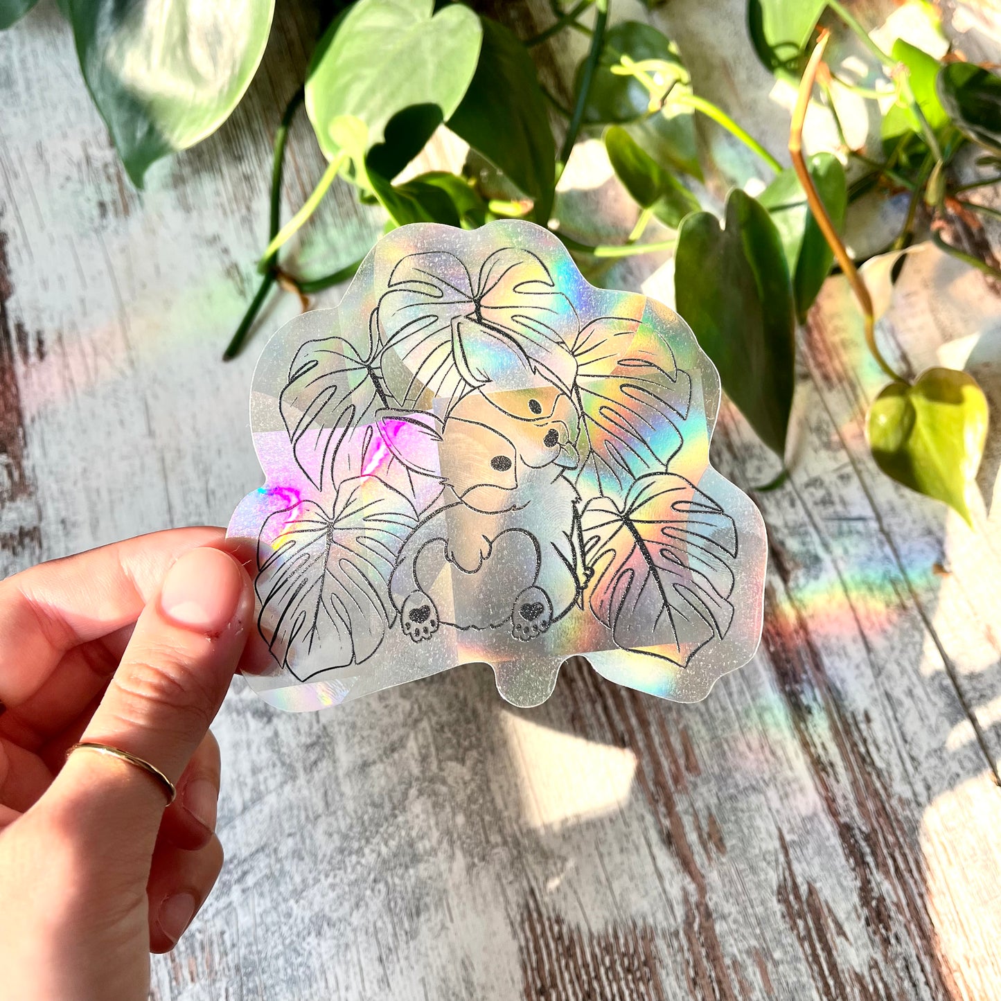 Sun Catcher Sticker - Corgi Hund mit Monstera deliciosa Blättern