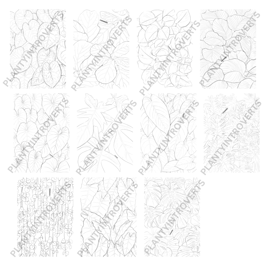 RETOURE: Malbuch für Erwachsene - Houseplants