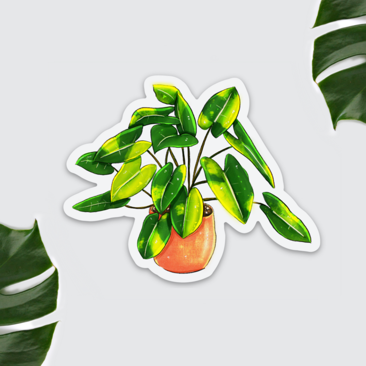 Kühlschrankmagnet - Philodendron burle marx - wearequiethumans