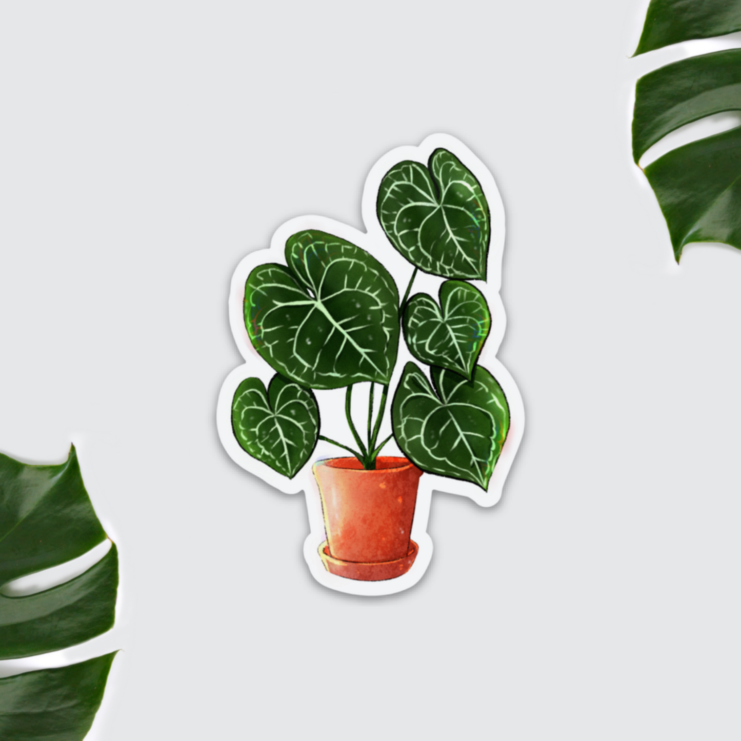Magnet - Anthurium Clarinervium Herzblatt - wearequiethumans
