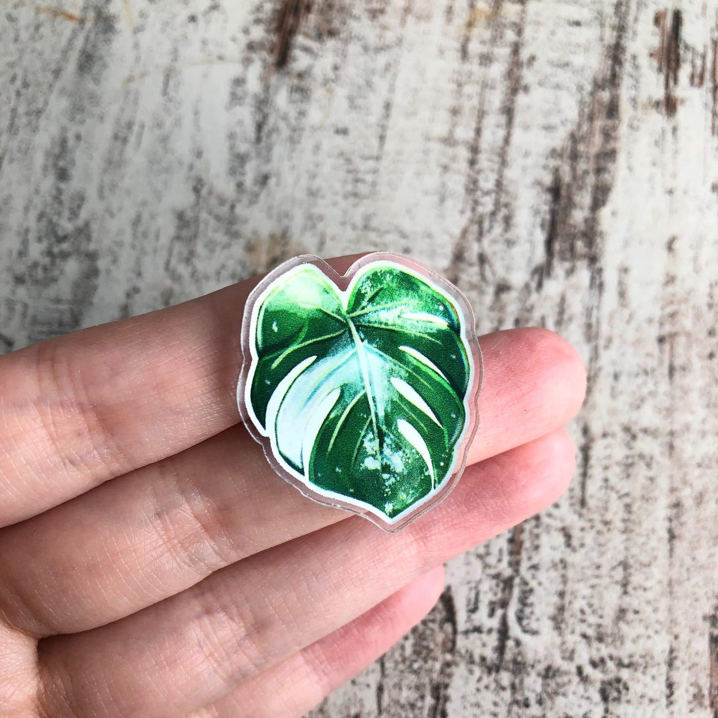 Acryl Pin Monstera variegata Pin zum Anstecken - wearequiethumans