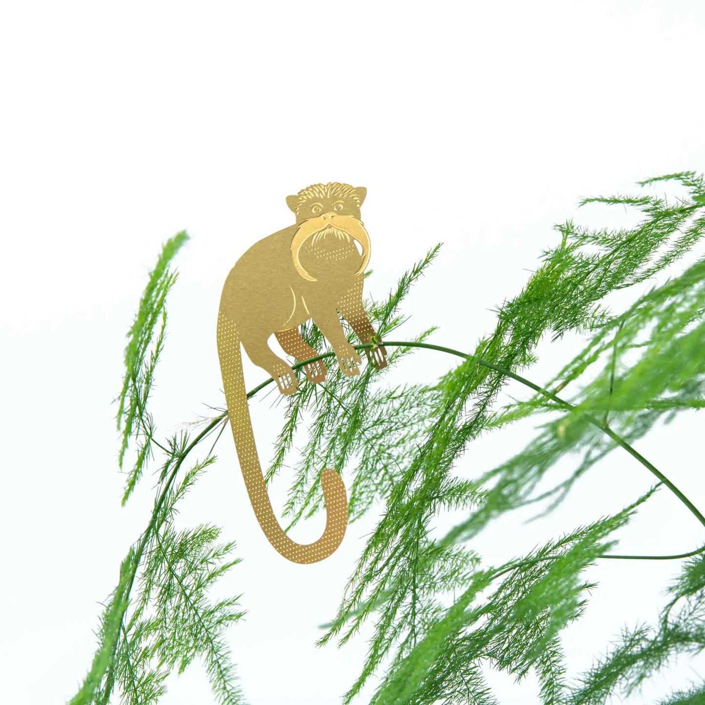 PLANT ANIMAL – Saguinus | Another Studio