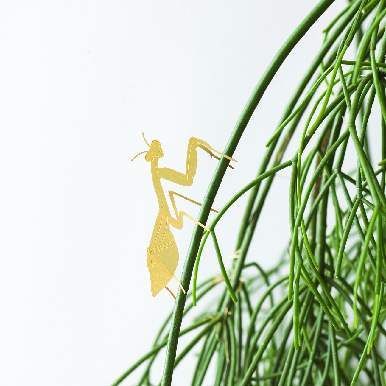 PLANT ANIMAL – Gottesanbeterin | Another Studio - wearequiethumans