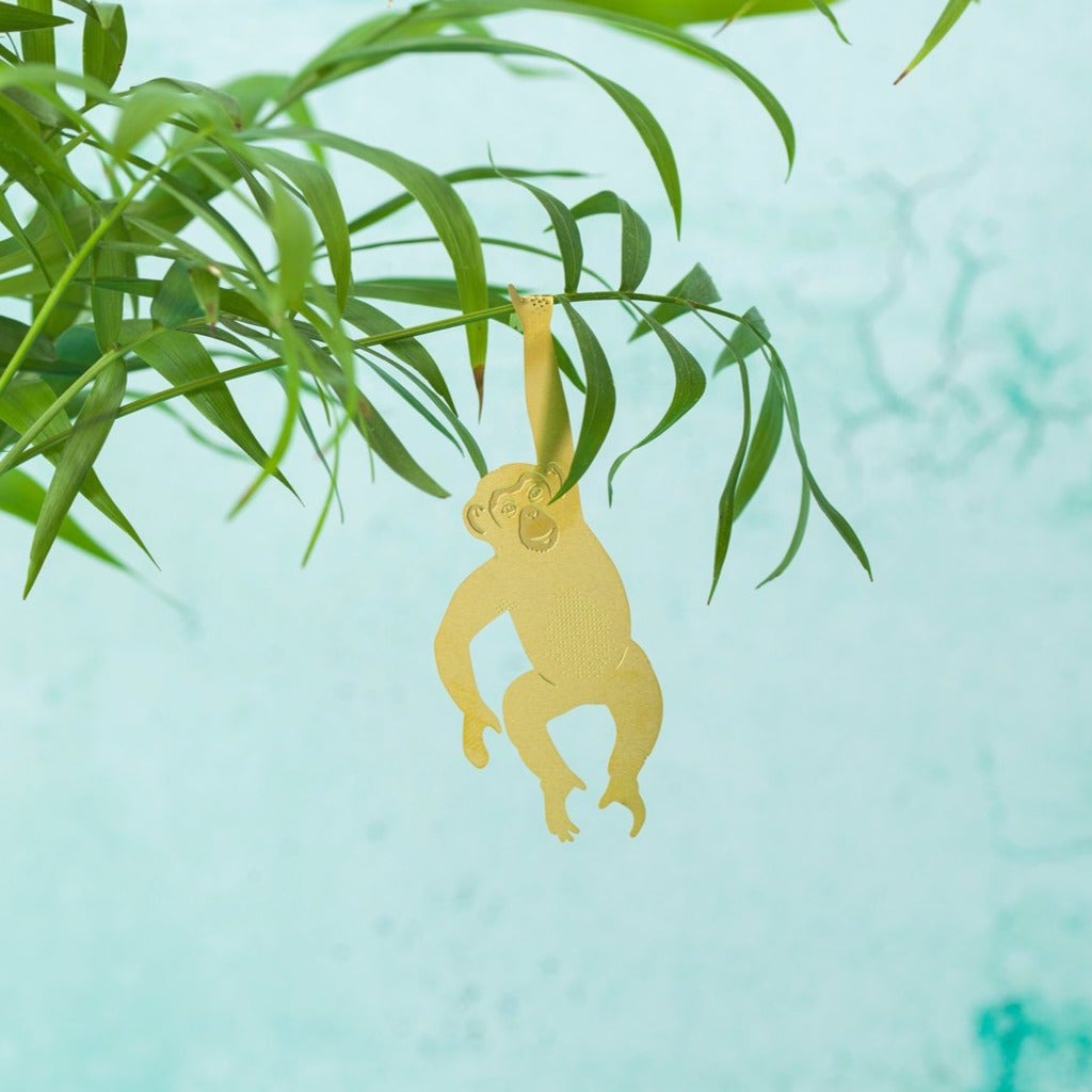 PLANT ANIMAL – Schimpanse | Another Studio - wearequiethumans