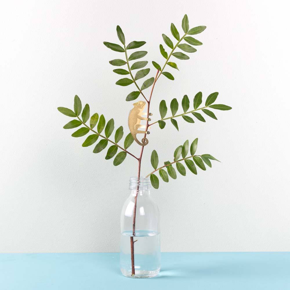 PLANT ANIMAL – Chameleon | Another Studio - wearequiethumans