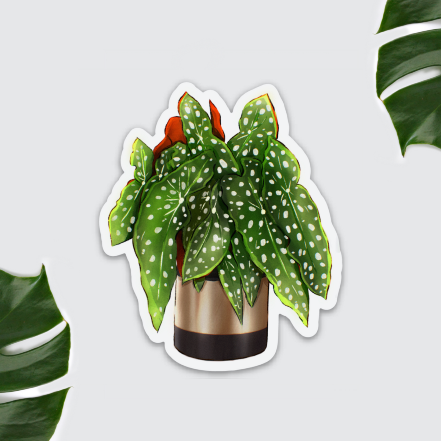 Magnet - Begonia Maculata im Topf - wearequiethumans