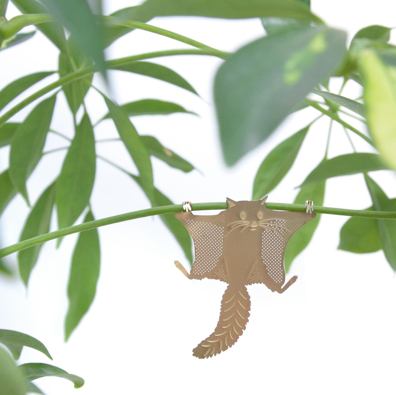 PLANT ANIMAL – Gleithörnchen | Another Studio - wearequiethumans