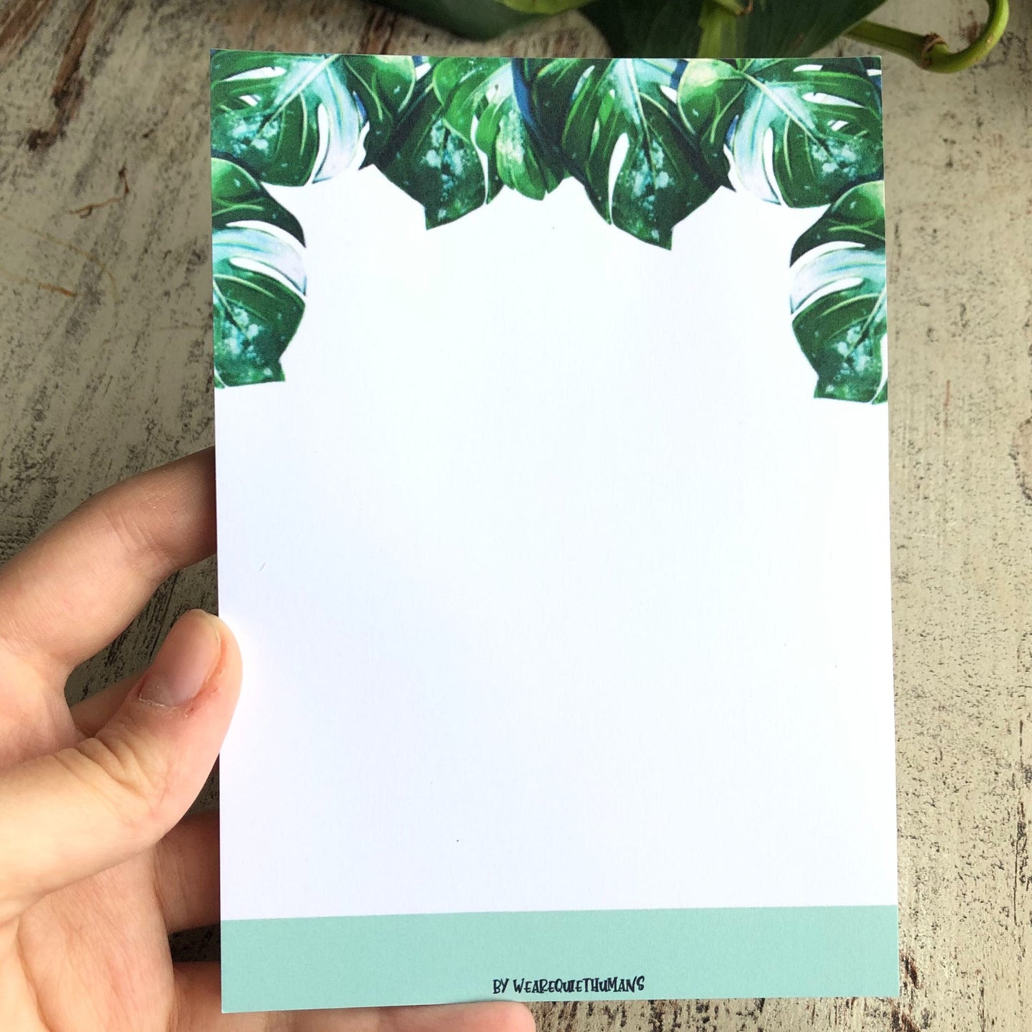 Notizblock A6 Monstera variegata blanko - wearequiethumans