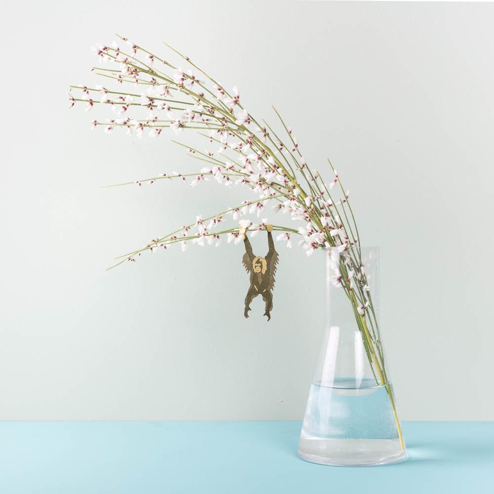 PLANT ANIMAL – Orang-Utan | Another Studio - wearequiethumans