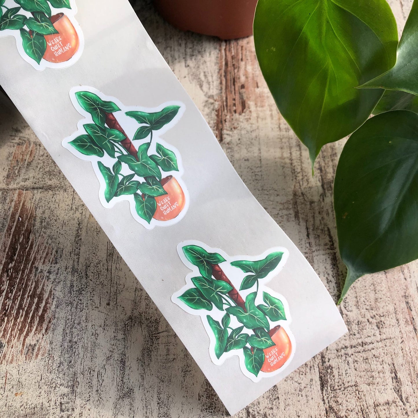 Versandlabel Syngonium Green Arrow - wearequiethumans