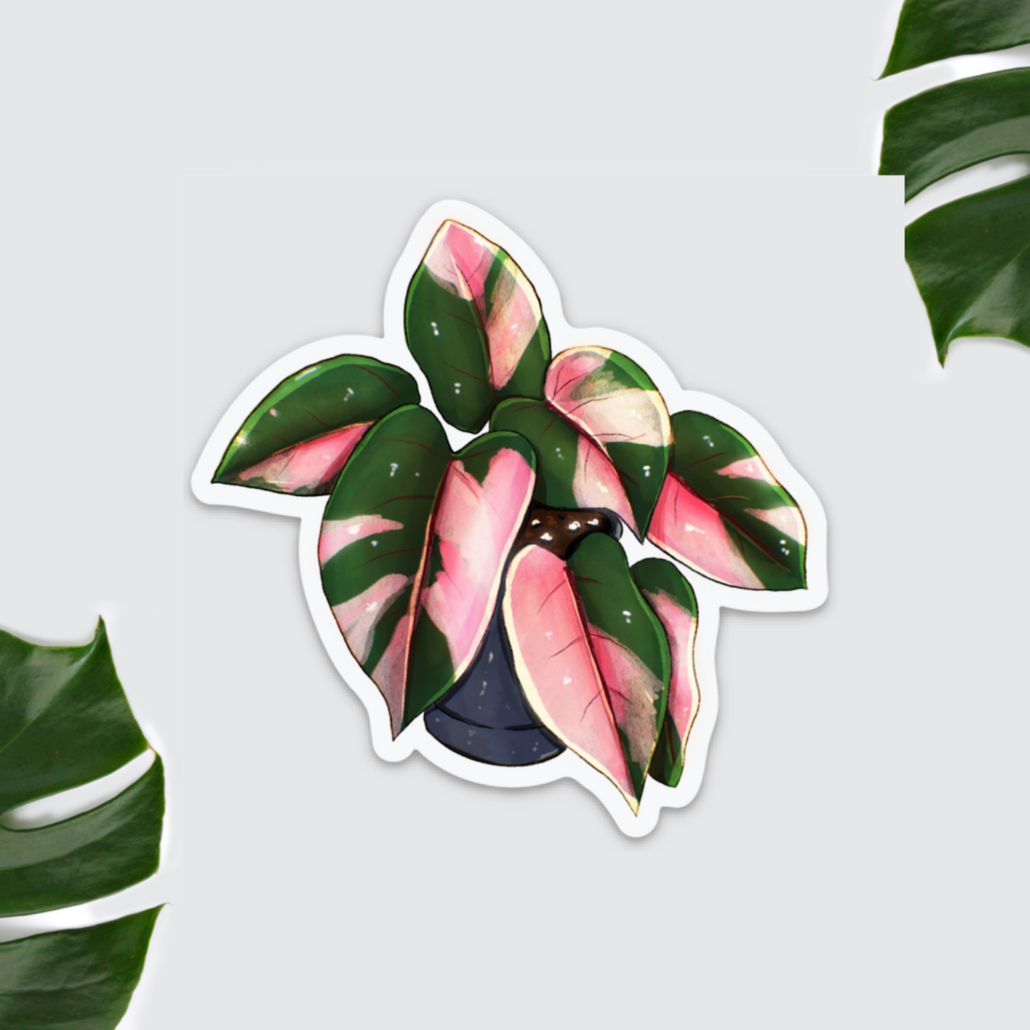 Magnet - Philodendron Prink Princess - wearequiethumans