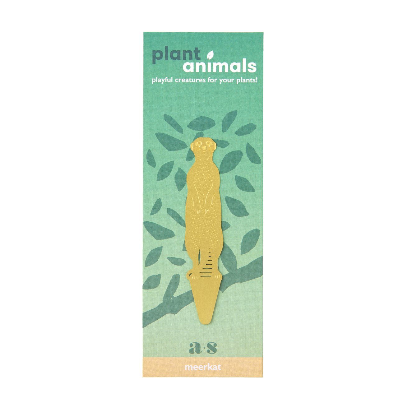 PLANT ANIMAL – Erdmännchen | Another Studio - wearequiethumans